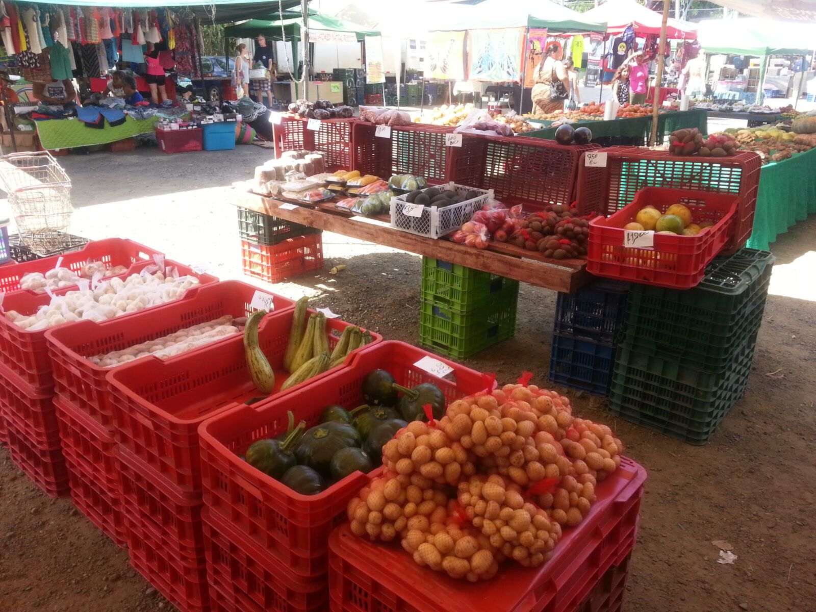 2017-02-04-PHOTO-00004286