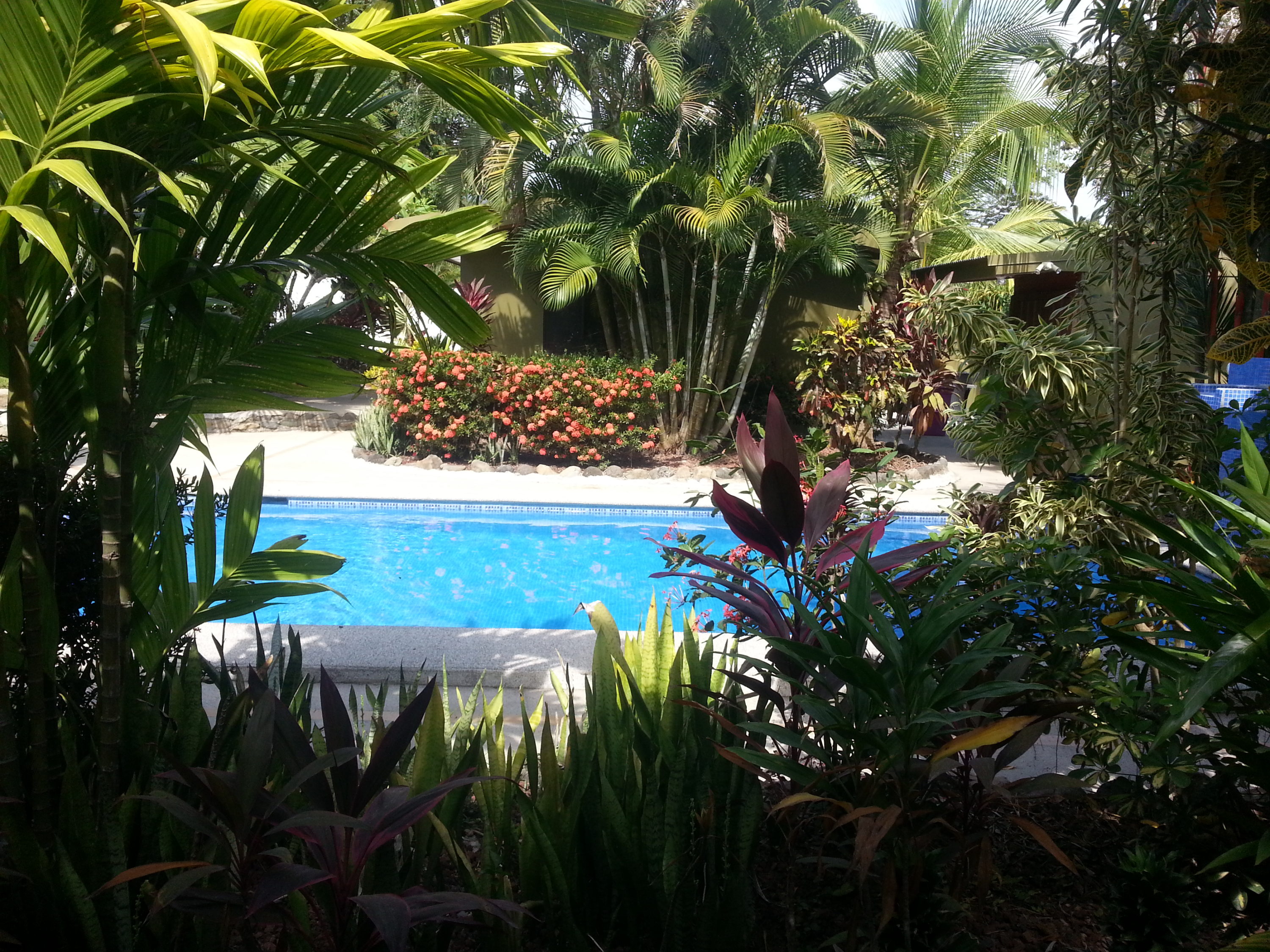 CR6-Faberge-across-from-pool-Album-1-e1490565606256