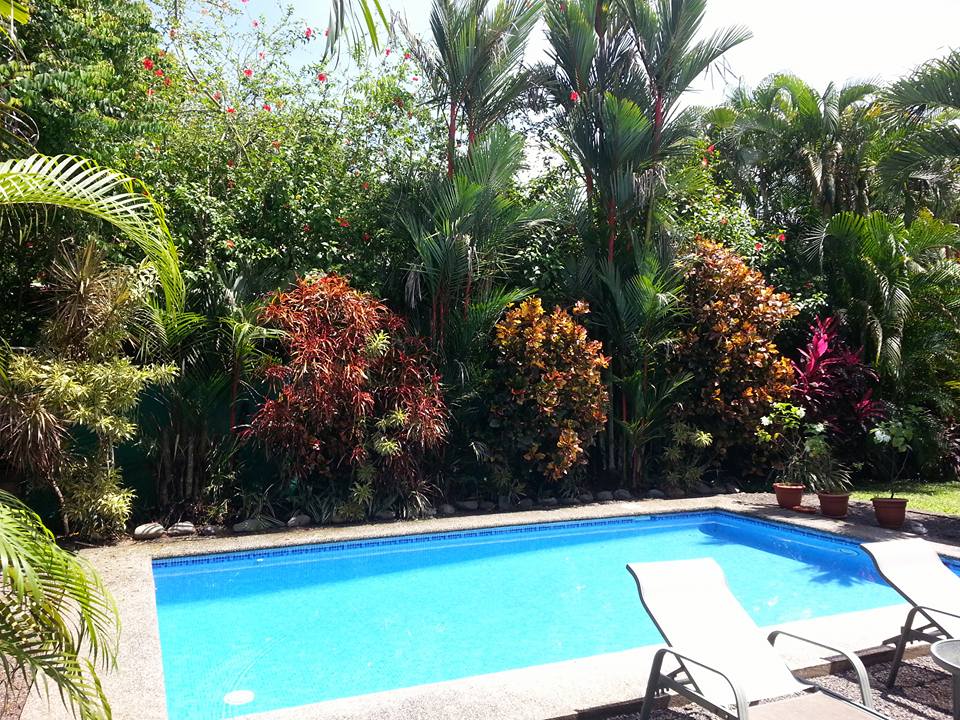 Breitling House Pool1